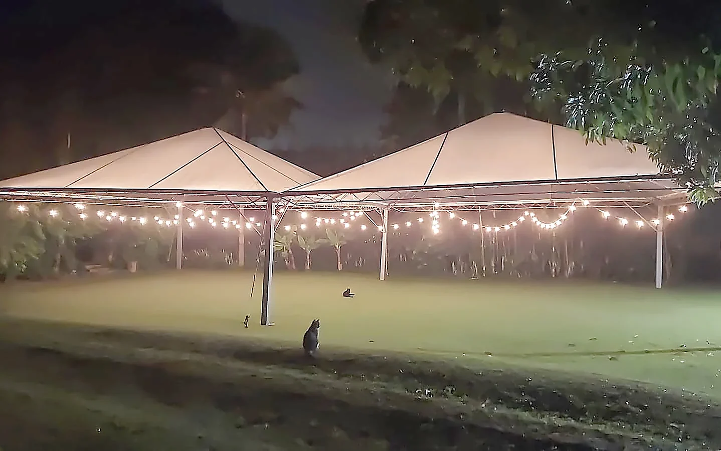 Tendas piramidais iluminadas à noite